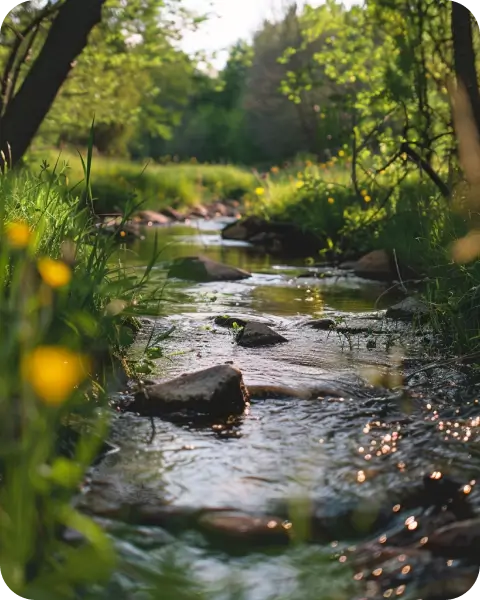 En bäck med träd och blommor runt omkring.