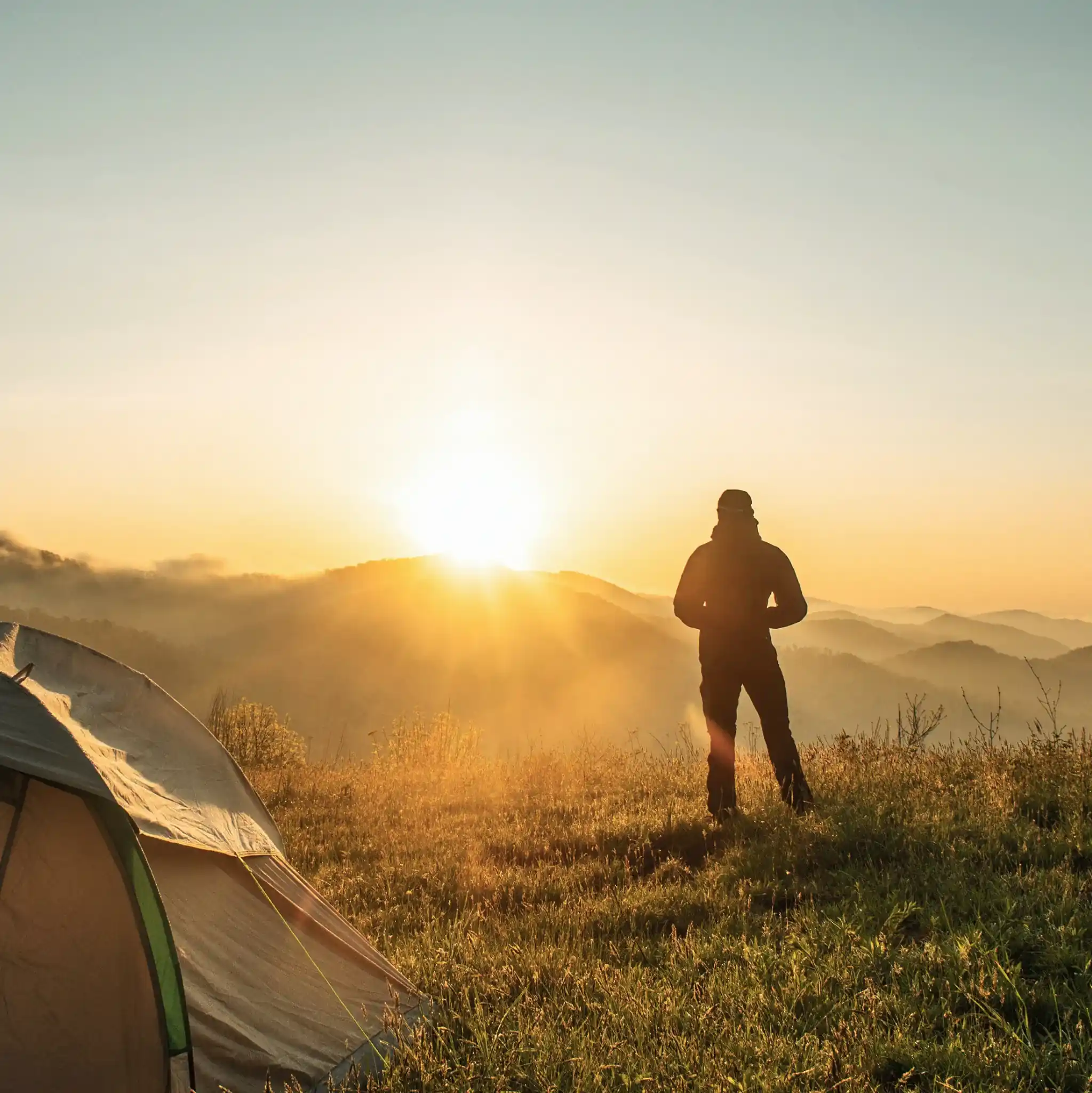 Man som tittar ut över en skog